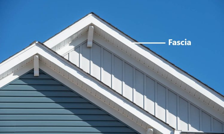 What Is Fascia Board And Its Role In Home Construction